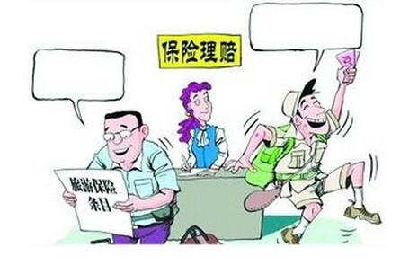 保險理賠數(shù)據(jù)