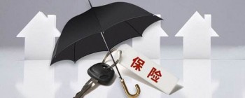 重疾險(xiǎn)
