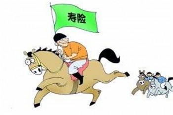 壽險(xiǎn)最多買多少