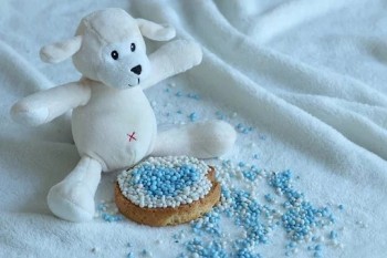 biscuit-with-mice-4673368__340_wps圖片.jpg