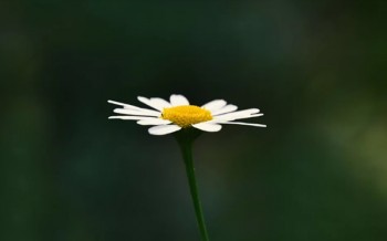 圖片 (21).jpg