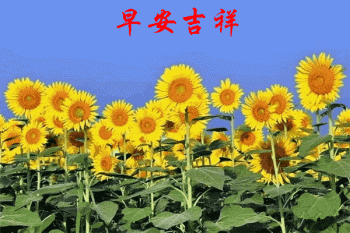 中國人壽防癌險交費表
