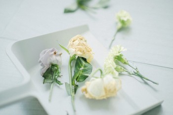 同方全球人壽定期壽險(xiǎn)怎么樣