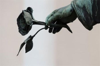 老人防癌險