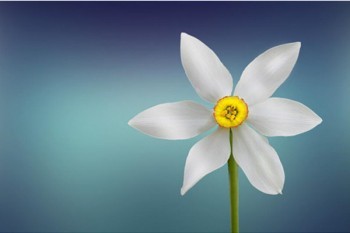 泰康老年防癌險(xiǎn)優(yōu)勢(shì)