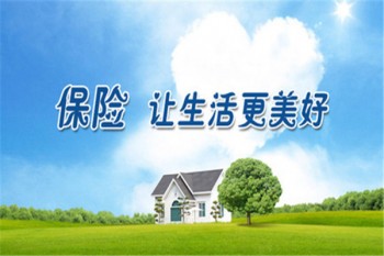 醫(yī)療險(xiǎn)與重疾險(xiǎn)