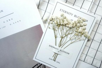 少兒超能寶3.0和愛滿分對比
