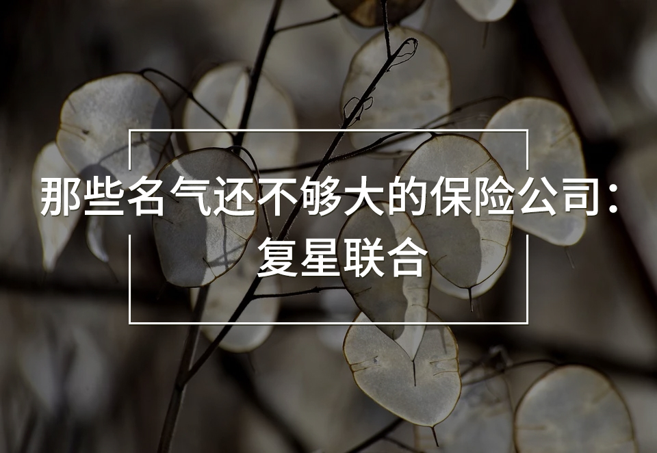 復星聯(lián)合保險