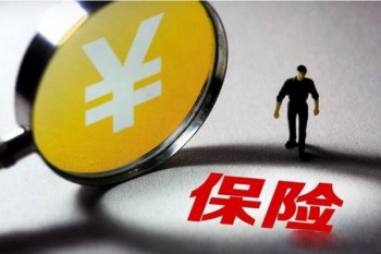 大白定期壽險是哪個保險公司