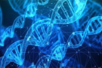 人保百萬醫(yī)療健康告知內(nèi)容