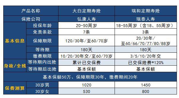 大白定期壽險是哪個保險公司
