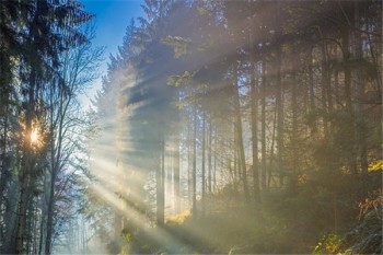 太平防癌險一年多少錢