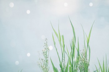 康愛(ài)一生終身防癌險(xiǎn)