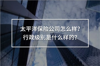 太平洋保險(xiǎn)公司怎么樣