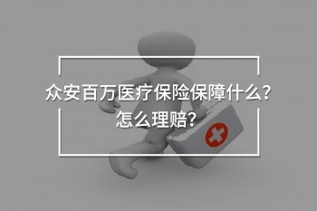 眾安百萬醫(yī)療保險(xiǎn)條款