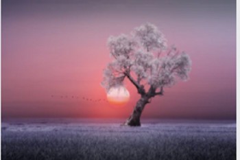 中國(guó)人壽百萬(wàn)醫(yī)療險(xiǎn)繳費(fèi)標(biāo)準(zhǔn)