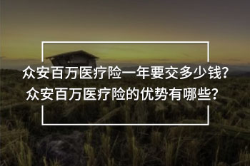 眾安百萬醫(yī)療險一年交多少