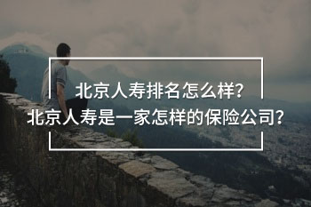 北京人壽排名