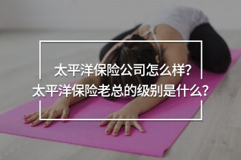 太平洋保險(xiǎn)老總啥級(jí)別