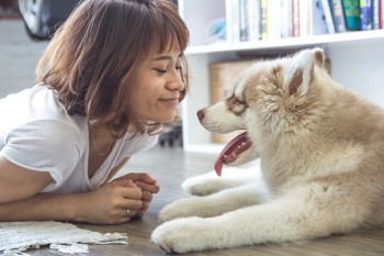 重疾與壽險(xiǎn)的最大區(qū)別