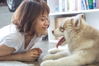 高發(fā)少兒重疾