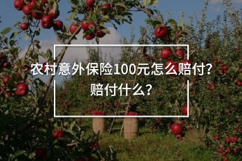 農(nóng)村意外險100元一戶