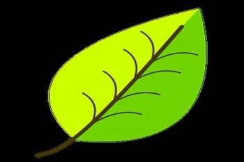 安心百萬(wàn)醫(yī)療險(xiǎn)