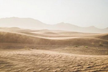 支付寶上健康福少兒重疾險可靠嗎