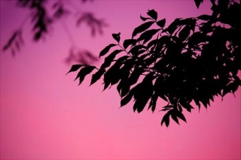 太平洋百萬意外險價格