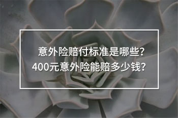 400元意外險(xiǎn)賠償明細(xì)