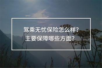 無憂保險