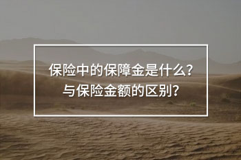 保險(xiǎn)中的保障金是什么