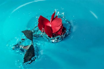 一張保單保全家是醫(yī)療保險(xiǎn)