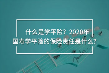 2020年國壽學(xué)平險保險責(zé)任