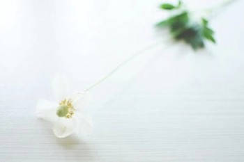 星頤年金保險(xiǎn)和相伴一生   