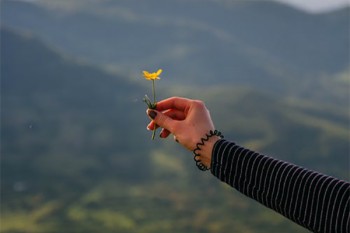 意外死亡險(xiǎn)生效期