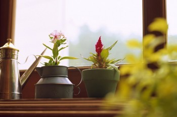 終身重疾險(xiǎn)的騙局