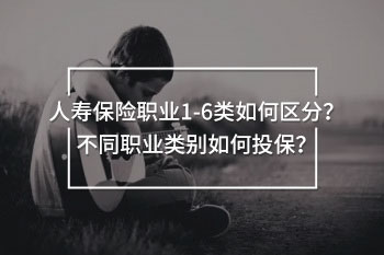 人壽保險(xiǎn)職業(yè)1-6類(lèi)