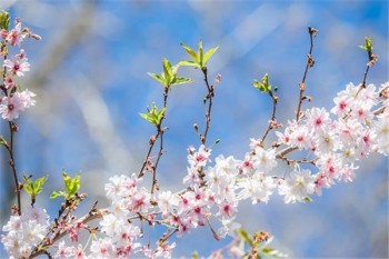 少兒超能寶3.0怎么樣