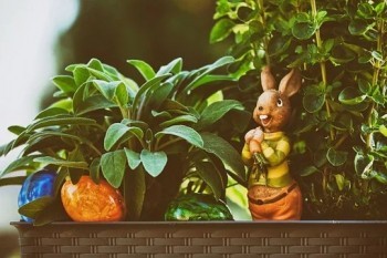 禎愛(ài)優(yōu)選定期壽險(xiǎn)產(chǎn)品介紹