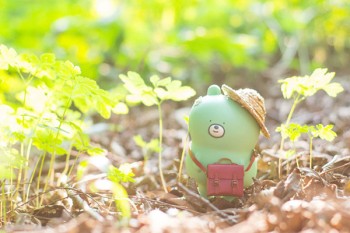 單獨(dú)買百萬(wàn)醫(yī)療險(xiǎn)多少錢