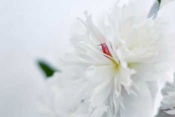 水滴百萬(wàn)醫(yī)療險(xiǎn)