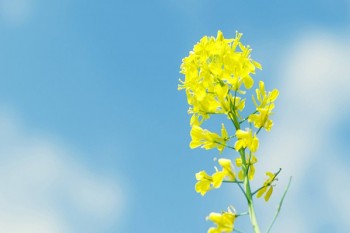 買了重疾險(xiǎn)后悔死