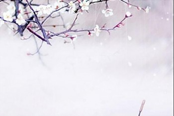 銀行買的保險(xiǎn)理財(cái)可靠嗎