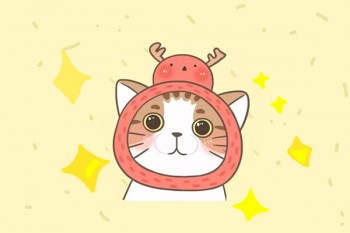 網(wǎng)上眾安百萬(wàn)醫(yī)療保險(xiǎn)可靠嗎