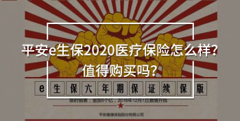 平安e生保2020