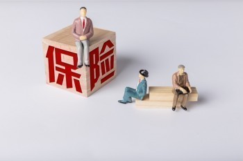 政策的內(nèi)容