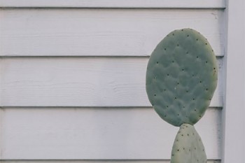 怎么給60歲以上老人買(mǎi)健康險(xiǎn)