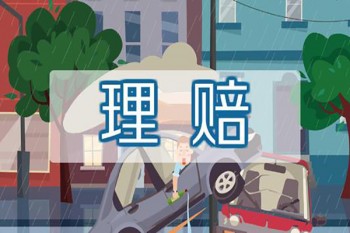 關于意外的保險案例