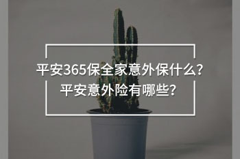 平安365保全家意外